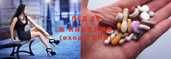 прущие грибы Армянск