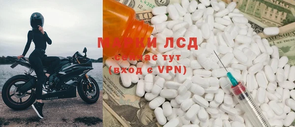 прущие грибы Армянск