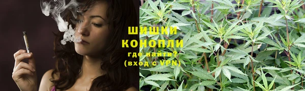 apvp Аркадак